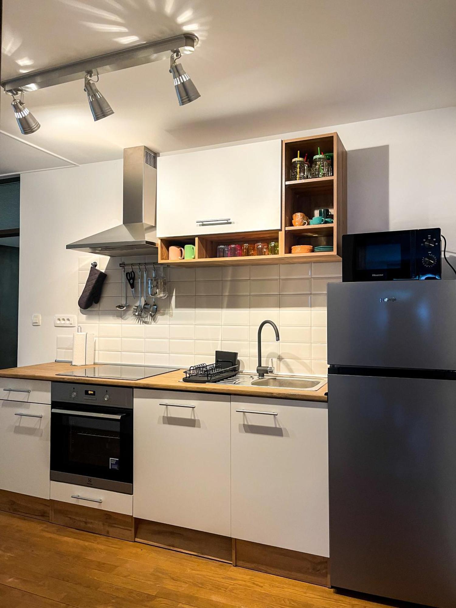Spacious Cozy Apartment Любляна Екстер'єр фото